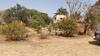  Property For Sale in Leeukuil, Polokwane