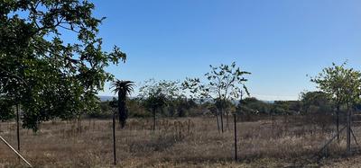 Vacant Land / Plot For Sale in Bendor, Pietersburg