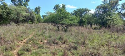 Vacant Land / Plot For Sale in Modimolle, Nylstroom